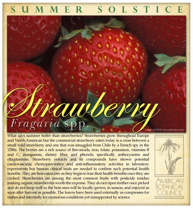 Strawberry Summer Solstice2