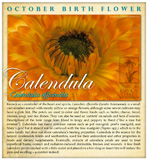 Calendula - October Birthday
