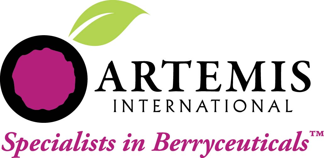 Artemis International Logo