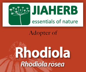 Rhodiola AAH large