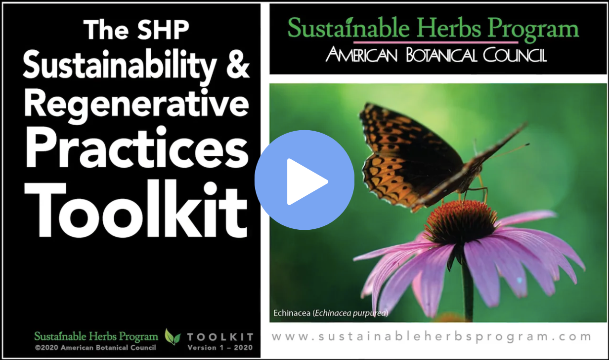 SHP Toolkit Video Graphic