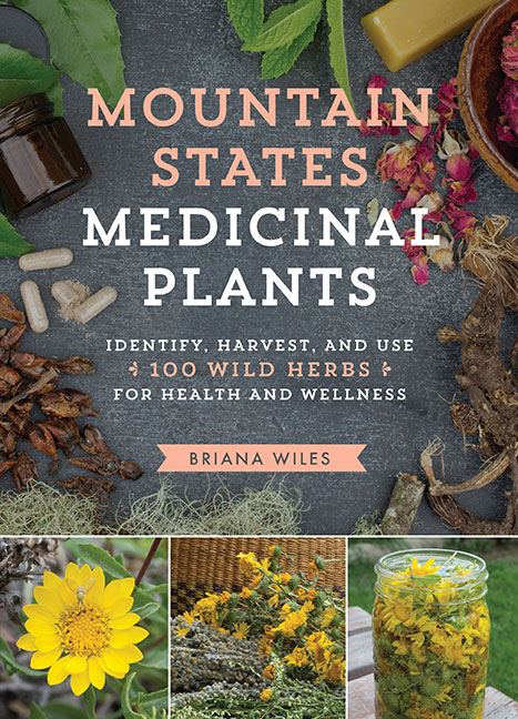 Mountain States Medicinal Plants cover
