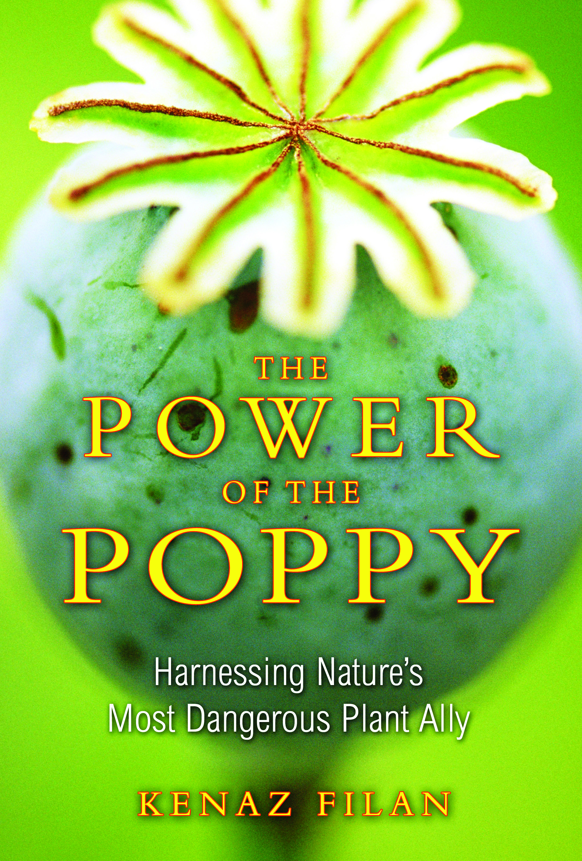 Power of Poppy