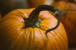 pumpkin-close-up-web.jpg
