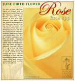 Rose Birth June