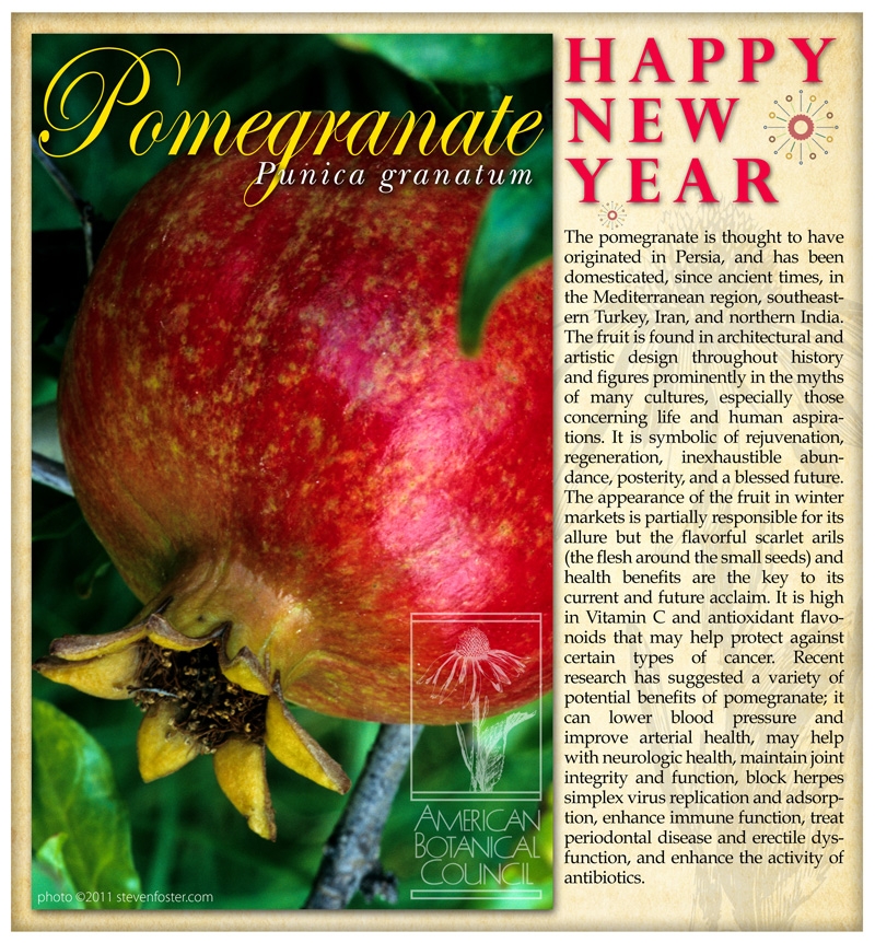 Pomegranate New Year