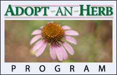 Adopt-an-Herb