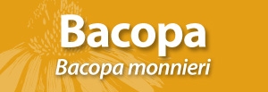 Bacopa banner