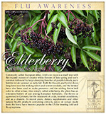 Elderberry FluSM
