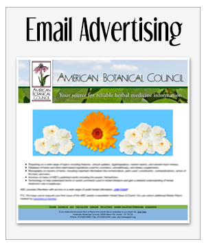 Email Advertising
