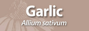 Garlic AAH
