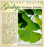 Ginkgo HealthSM