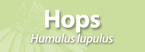 Hops_for_AAH_page