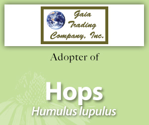 Hops_for_Adoption_Page