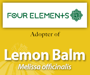 Lemon balm Adopter