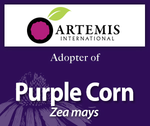 Purple corn adoption