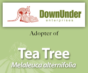 Tea Tree for adoption page
