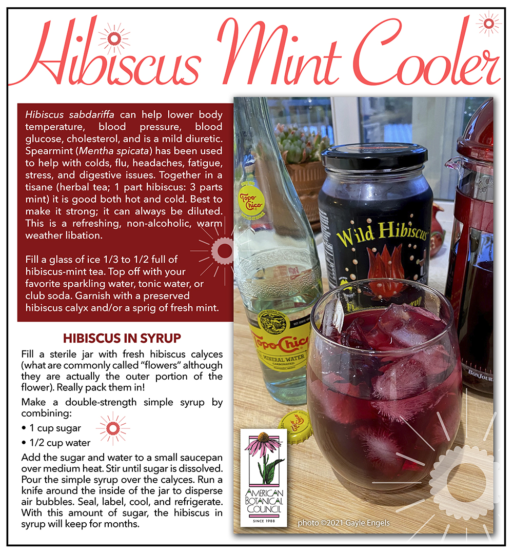Hibiscus Mint Cooler