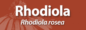 Rhodiola AAH small